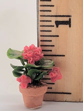 Load image into Gallery viewer, Red Flowers in Pot
