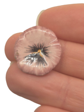Load image into Gallery viewer, Valerie Casson – Porcelain Handpainted Flower Plate
