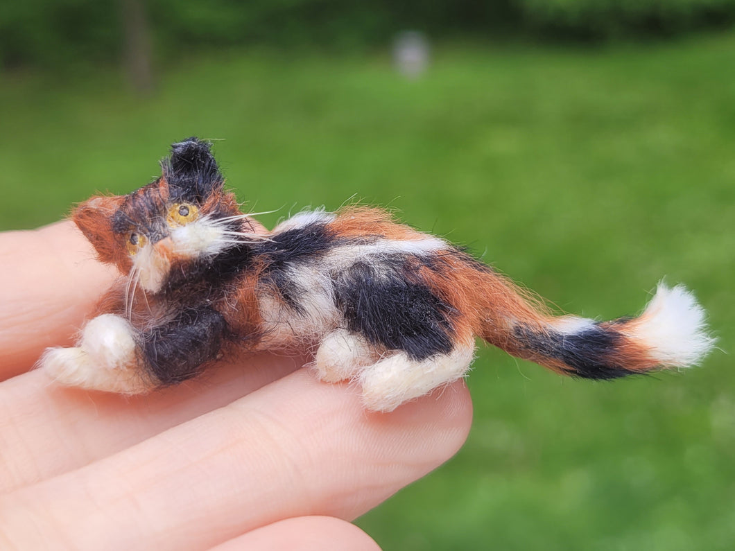 Annie Willis - Calico Furred Cat