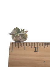 Load image into Gallery viewer, Anne Daulton – Porcelain Fairy Handpainted w/ Background
