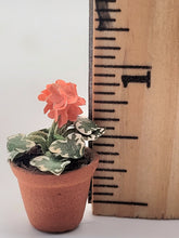 Load image into Gallery viewer, Dollhouse Miniature ~ 1:24 Scale, Red Geranium in Terracotta Pot
