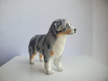 Load image into Gallery viewer, Australian Shepherd Dog - Karl Blindheim
