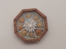 Load image into Gallery viewer, ¾&quot; Sailor&#39;s Valentine - Shells in Flower Design surrounded by Tellin Shells – by Pam Friend
