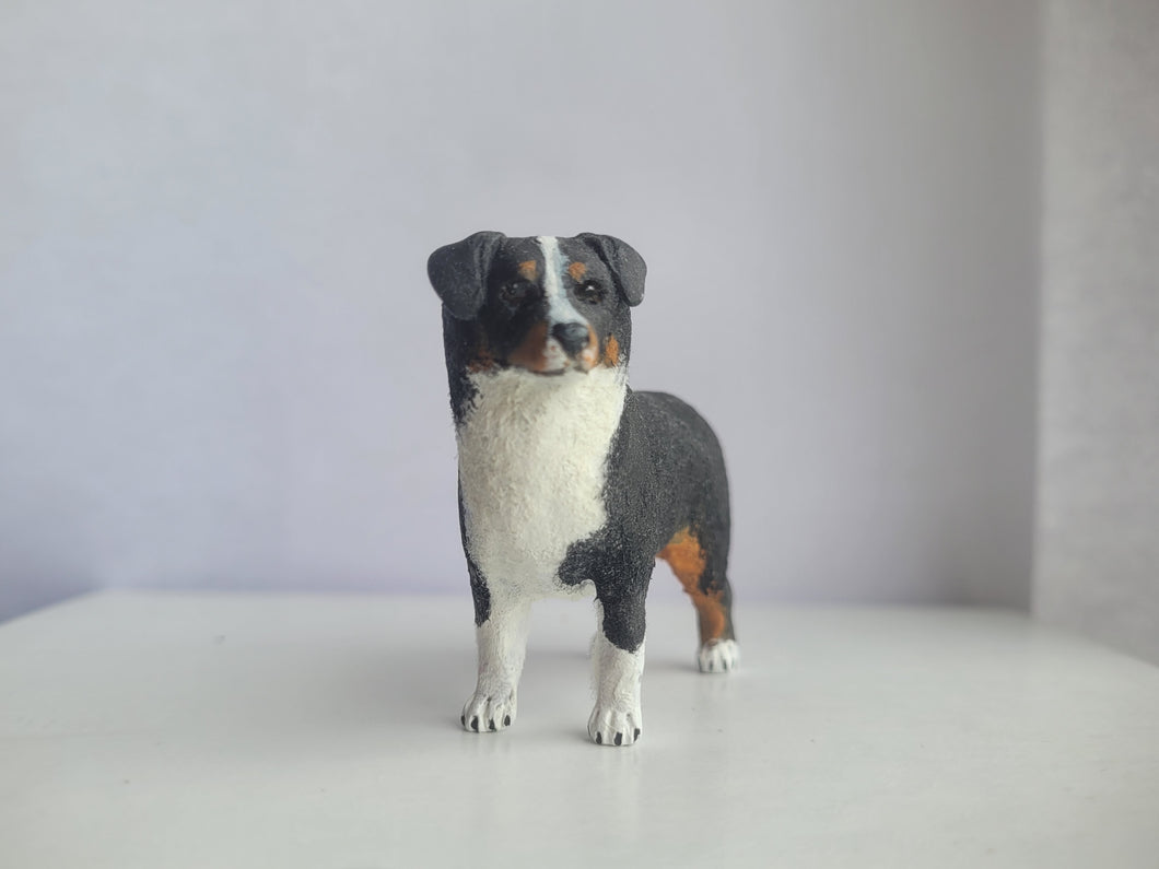 Australian Shepherd Tri-Color – by Karl Blindheim