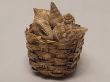 Load image into Gallery viewer, Real Seashells in Woven Basket
