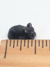Load image into Gallery viewer, Dollhouse Miniature ~ 1:24 Scale, Black Cat, Signed LP
