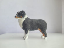 Load image into Gallery viewer, Australian Shepherd Tri-Color – by Karl Blindheim
