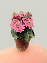 Load image into Gallery viewer, Dollhouse Miniature ~ Super Small Pink Flowers in Pot
