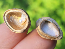 Load image into Gallery viewer, Jeweled Egg
