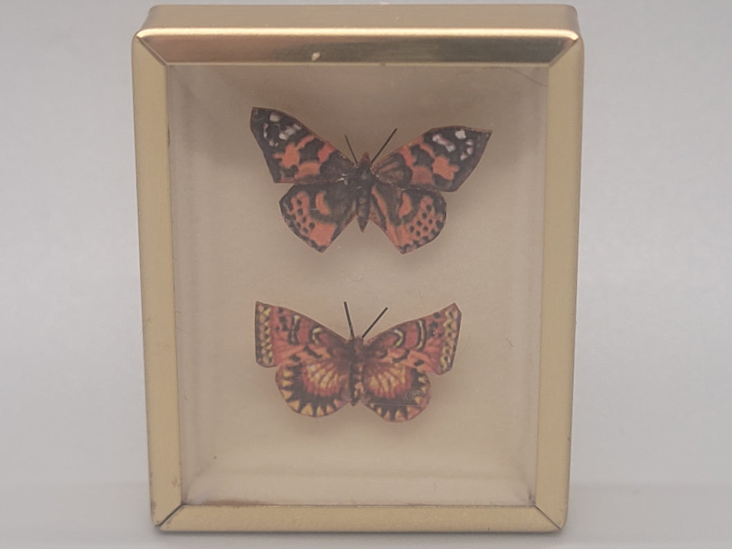 Jeanne Abel Butterflies in Gold Frame