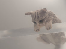 Load image into Gallery viewer, Resin Grey Tabby Cat Peeking over Edge
