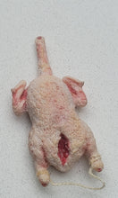 Load image into Gallery viewer, Goose - De-feathered for Cooking
