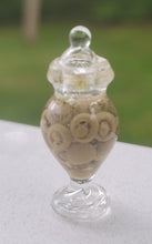Load image into Gallery viewer, Mushrooms in Glass Jar
