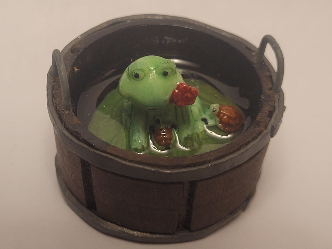 Frog in Wooden Bucket with Water and Turtles