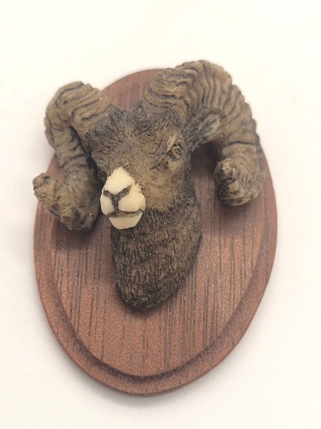 Dollhouse Miniature ~ 1:24 Scale, Ram Head on Wooden Plaque – Made in Vermont