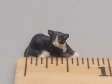 Load image into Gallery viewer, Black &amp; White Cat Laying Down - made of Resin
