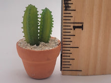 Load image into Gallery viewer, Dollhouse Miniature ~ 1:12 Scale, 2pc Cactus Set in Pots
