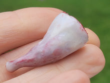 Load image into Gallery viewer, Ham with Bone
