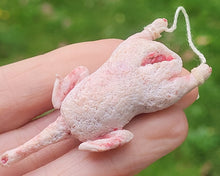 Load image into Gallery viewer, Goose - De-feathered for Cooking
