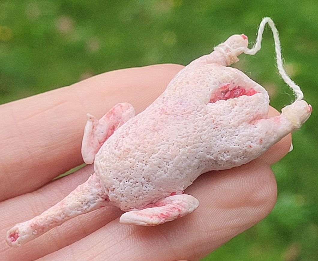 Goose - De-feathered for Cooking
