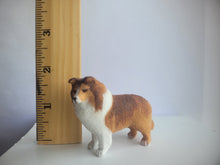 Load image into Gallery viewer, Shetland Sheepdog - By Karl Blindheim
