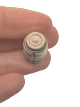 Load image into Gallery viewer, James Clark – Handmade Pottery Jar with Lid Bamboo Design
