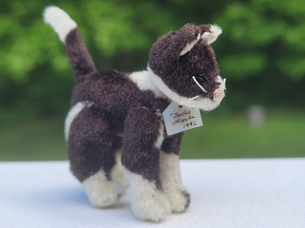 Black and White Tuxedo Cat