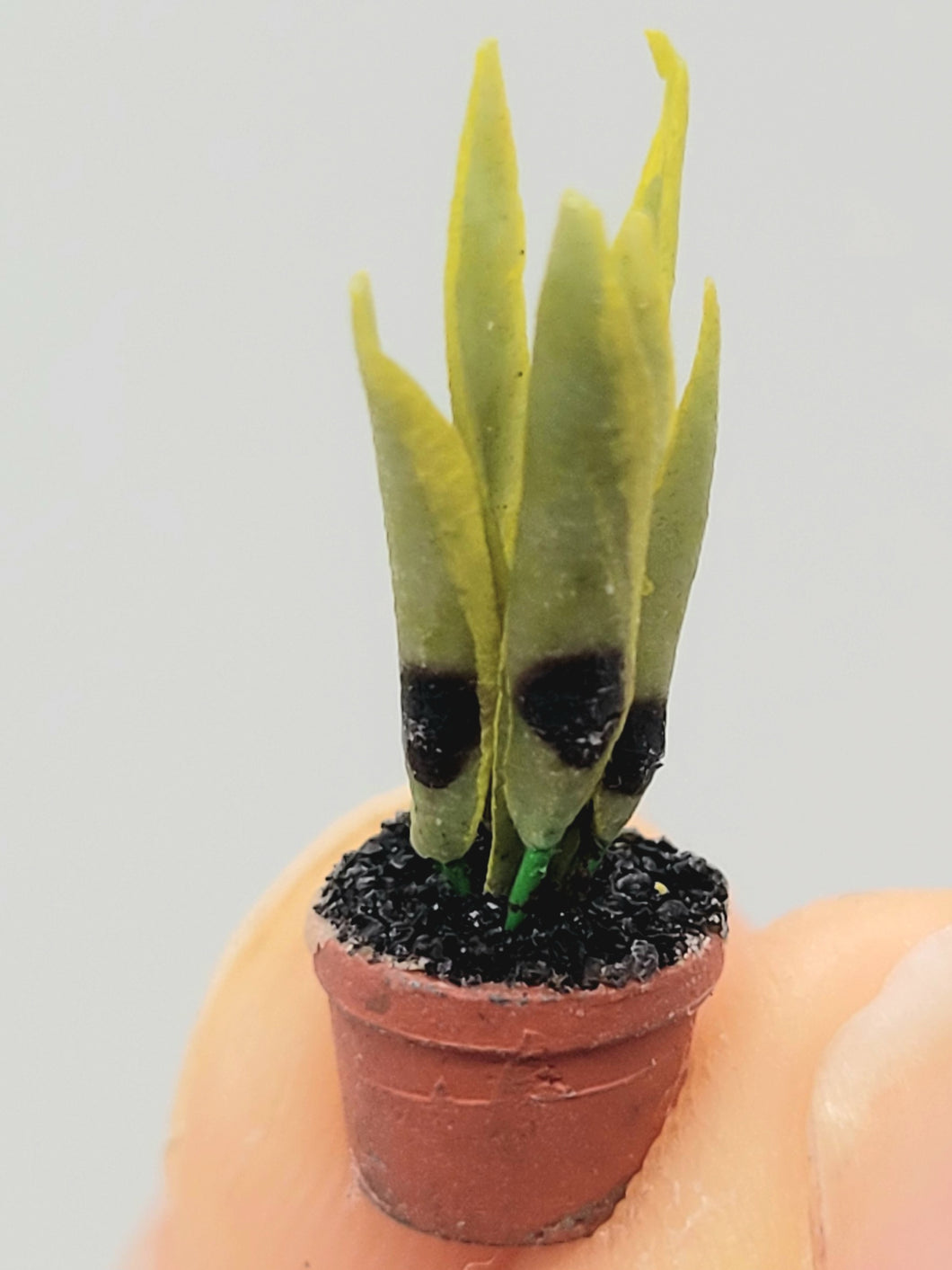 Dollhouse Miniature ~ 1/2