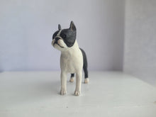 Load image into Gallery viewer, Boston Terrier – by Karl Blindheim
