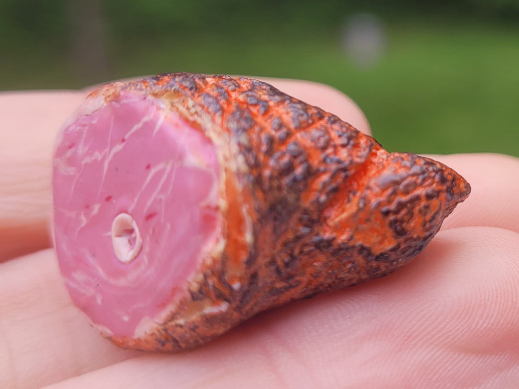 Ham with Bone