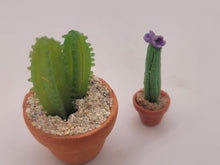 Load image into Gallery viewer, Dollhouse Miniature ~ 1:12 Scale, 2pc Cactus Set in Pots
