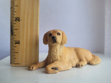 Load image into Gallery viewer, Golden Retriever Laying Down – by Karl Blindheim
