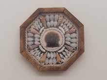 Load image into Gallery viewer, 1&quot; Sailor&#39;s Valentine with Assorted Shells Surrounding Brown Clam Shell – by Pam Friend
