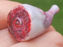 Load image into Gallery viewer, Ham with Bone
