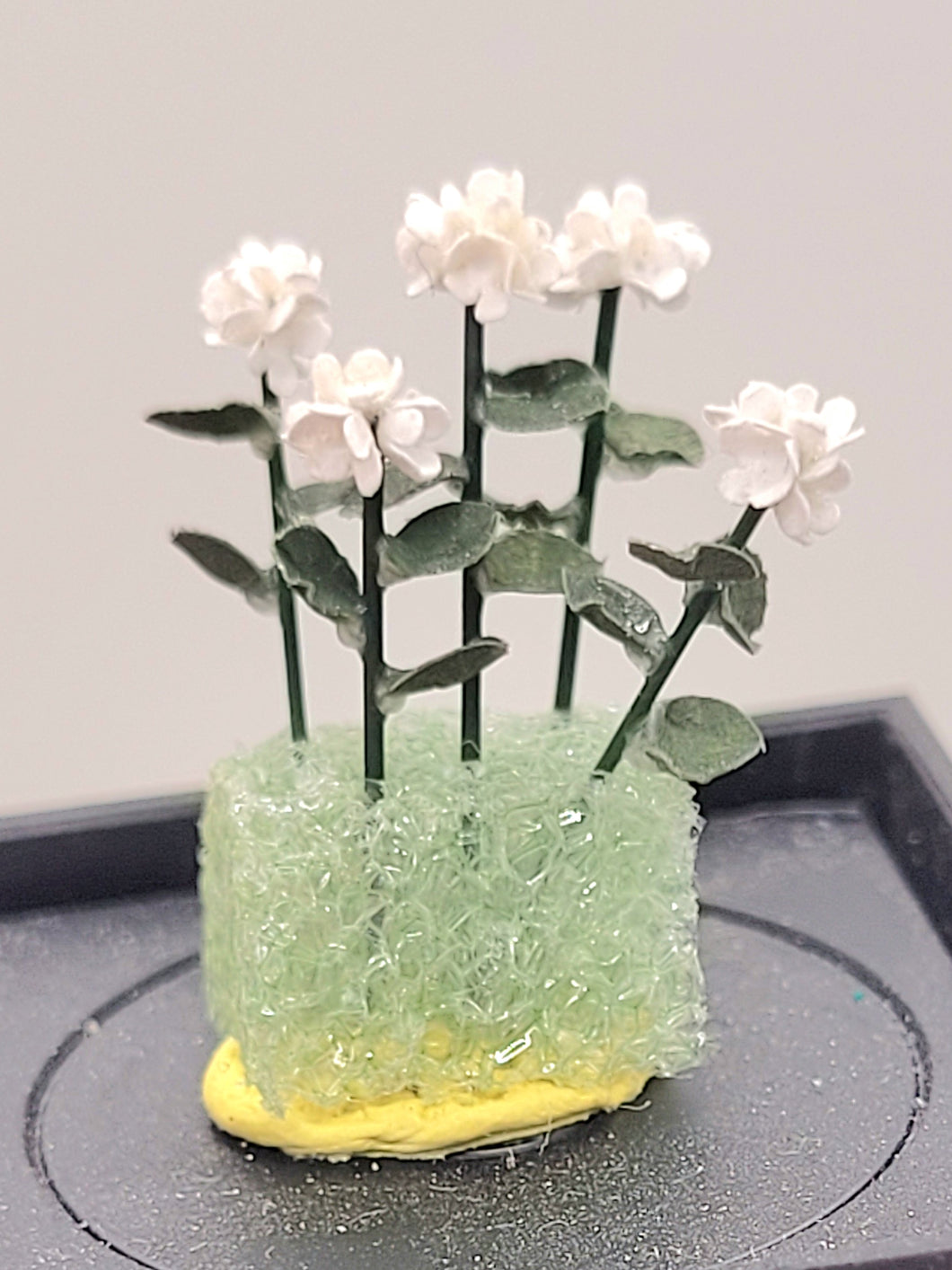 White Geraniums in Styrofoam