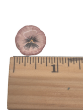 Load image into Gallery viewer, Valerie Casson – Porcelain Handpainted Flower Plate
